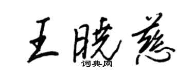 王正良王曉慈行書個性簽名怎么寫