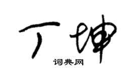 朱錫榮丁坤草書個性簽名怎么寫
