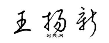 梁錦英王揚新草書個性簽名怎么寫