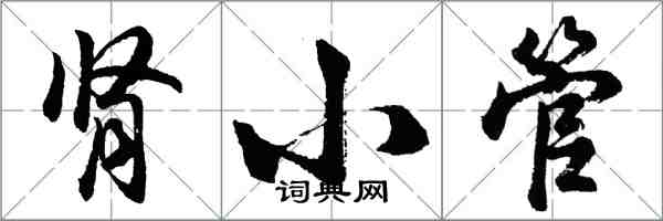 胡問遂腎小管行書怎么寫