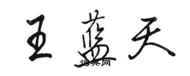 駱恆光王藍天行書個性簽名怎么寫