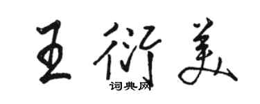 駱恆光王衍美行書個性簽名怎么寫