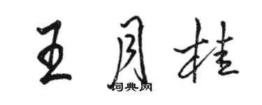 駱恆光王月桂行書個性簽名怎么寫