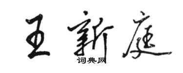 駱恆光王新庭行書個性簽名怎么寫