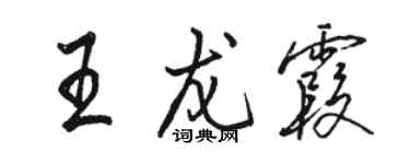 駱恆光王龍霞行書個性簽名怎么寫