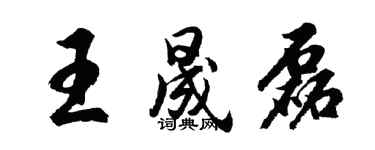 胡問遂王晟磊行書個性簽名怎么寫