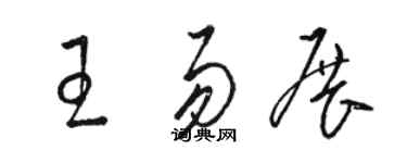 駱恆光王易展草書個性簽名怎么寫