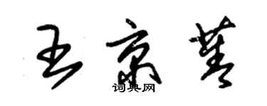 朱錫榮王京菁草書個性簽名怎么寫
