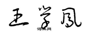 曾慶福王學鳳草書個性簽名怎么寫