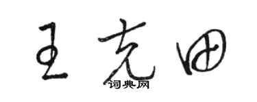 駱恆光王克田草書個性簽名怎么寫