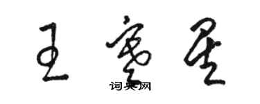 駱恆光王寒星草書個性簽名怎么寫