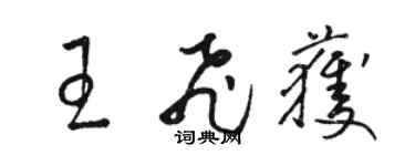 駱恆光王飛獲草書個性簽名怎么寫