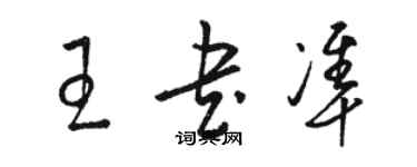 駱恆光王書準草書個性簽名怎么寫