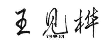 駱恆光王見樺行書個性簽名怎么寫