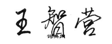 駱恆光王智營行書個性簽名怎么寫