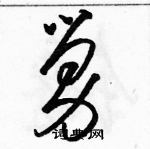 駱恆光寫的硬筆草書舅