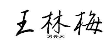 王正良王林梅行書個性簽名怎么寫