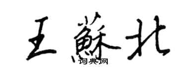 王正良王蘇北行書個性簽名怎么寫