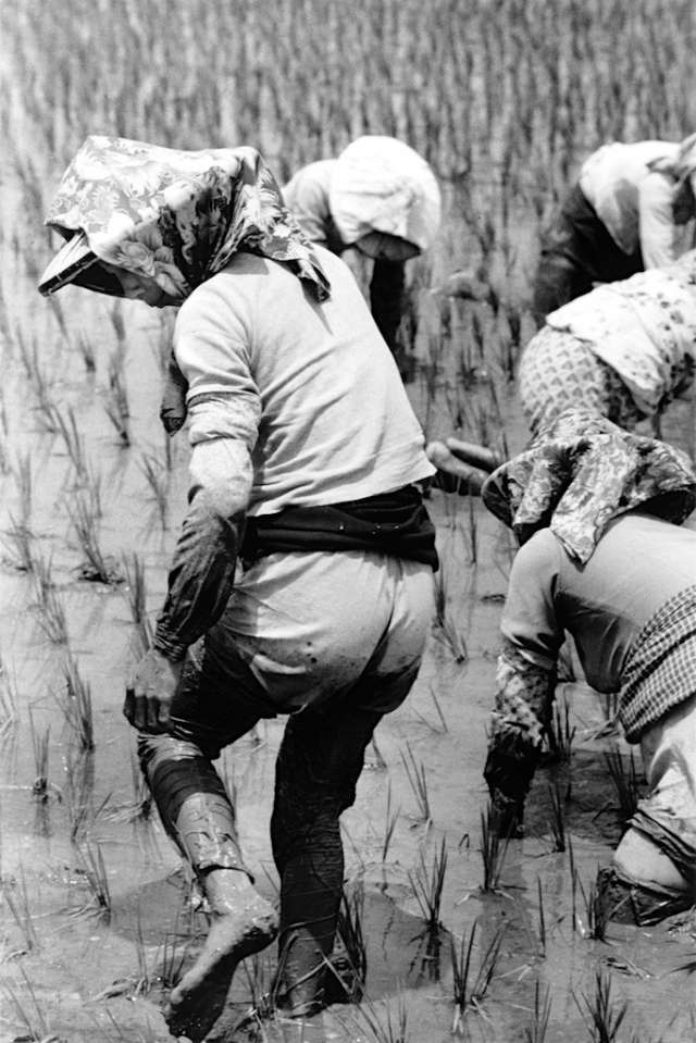 1957年台灣老照片