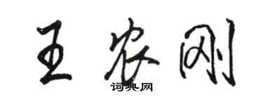 駱恆光王農剛行書個性簽名怎么寫