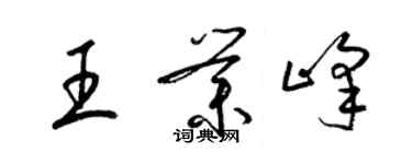 梁錦英王業峰草書個性簽名怎么寫