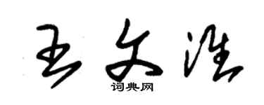 朱錫榮王文淮草書個性簽名怎么寫