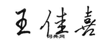 駱恆光王佳喜行書個性簽名怎么寫