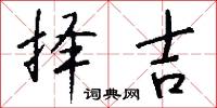 擇日的意思_擇日的解釋_國語詞典