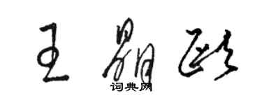 駱恆光王晶歐草書個性簽名怎么寫