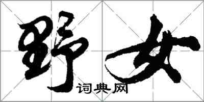 胡問遂野女行書怎么寫