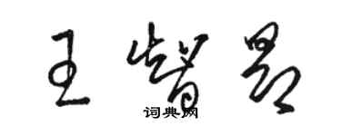 駱恆光王智昂草書個性簽名怎么寫