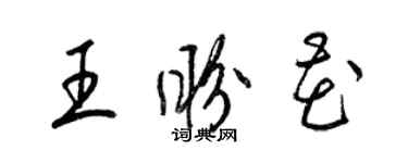 梁錦英王盼花草書個性簽名怎么寫