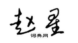 朱錫榮趙星草書個性簽名怎么寫