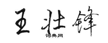 駱恆光王壯鋒行書個性簽名怎么寫