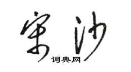 駱恆光宋沙草書個性簽名怎么寫