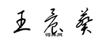 梁錦英王晨葵草書個性簽名怎么寫