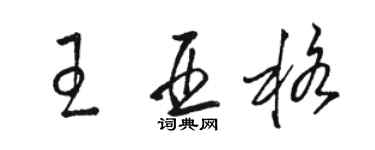 駱恆光王亞格草書個性簽名怎么寫