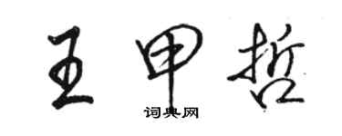 駱恆光王甲哲行書個性簽名怎么寫