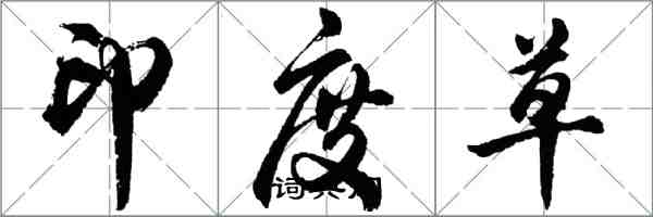 胡問遂印度草行書怎么寫