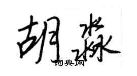 王正良胡淼行書個性簽名怎么寫