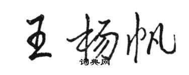 駱恆光王楊帆行書個性簽名怎么寫