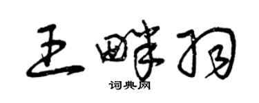 曾慶福王畔羽草書個性簽名怎么寫