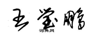 朱錫榮王瑩鵬草書個性簽名怎么寫