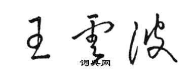 駱恆光王雲波草書個性簽名怎么寫