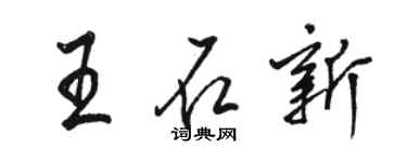 駱恆光王石新行書個性簽名怎么寫