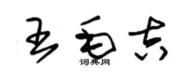 朱錫榮王毛吉草書個性簽名怎么寫