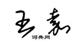 朱錫榮王嘉草書個性簽名怎么寫