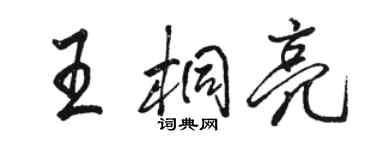 駱恆光王桐亮行書個性簽名怎么寫