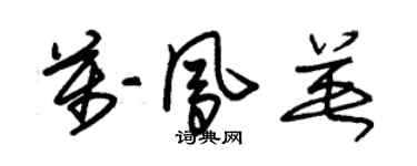 朱錫榮萬鳳英草書個性簽名怎么寫