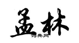 胡問遂孟林行書個性簽名怎么寫